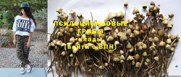молекула духа Верхний Тагил
