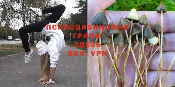 молекула духа Верхний Тагил