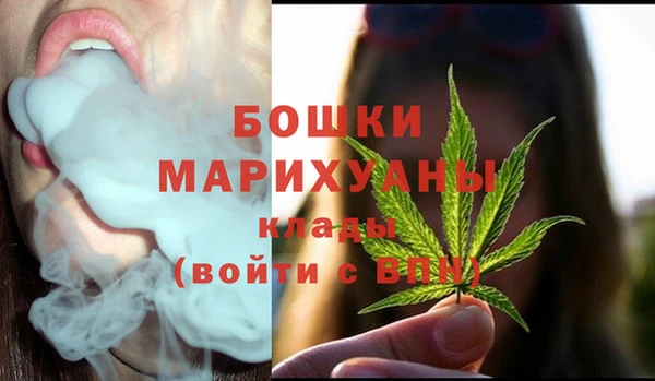 молекула духа Верхний Тагил