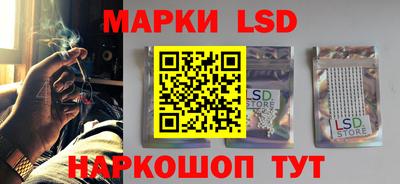 гидропоника Камышлов