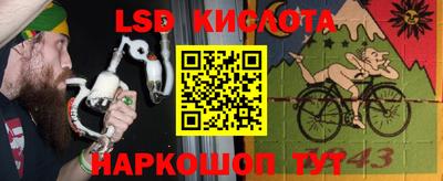 гидропоника Камышлов