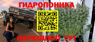 гидропоника Камышлов